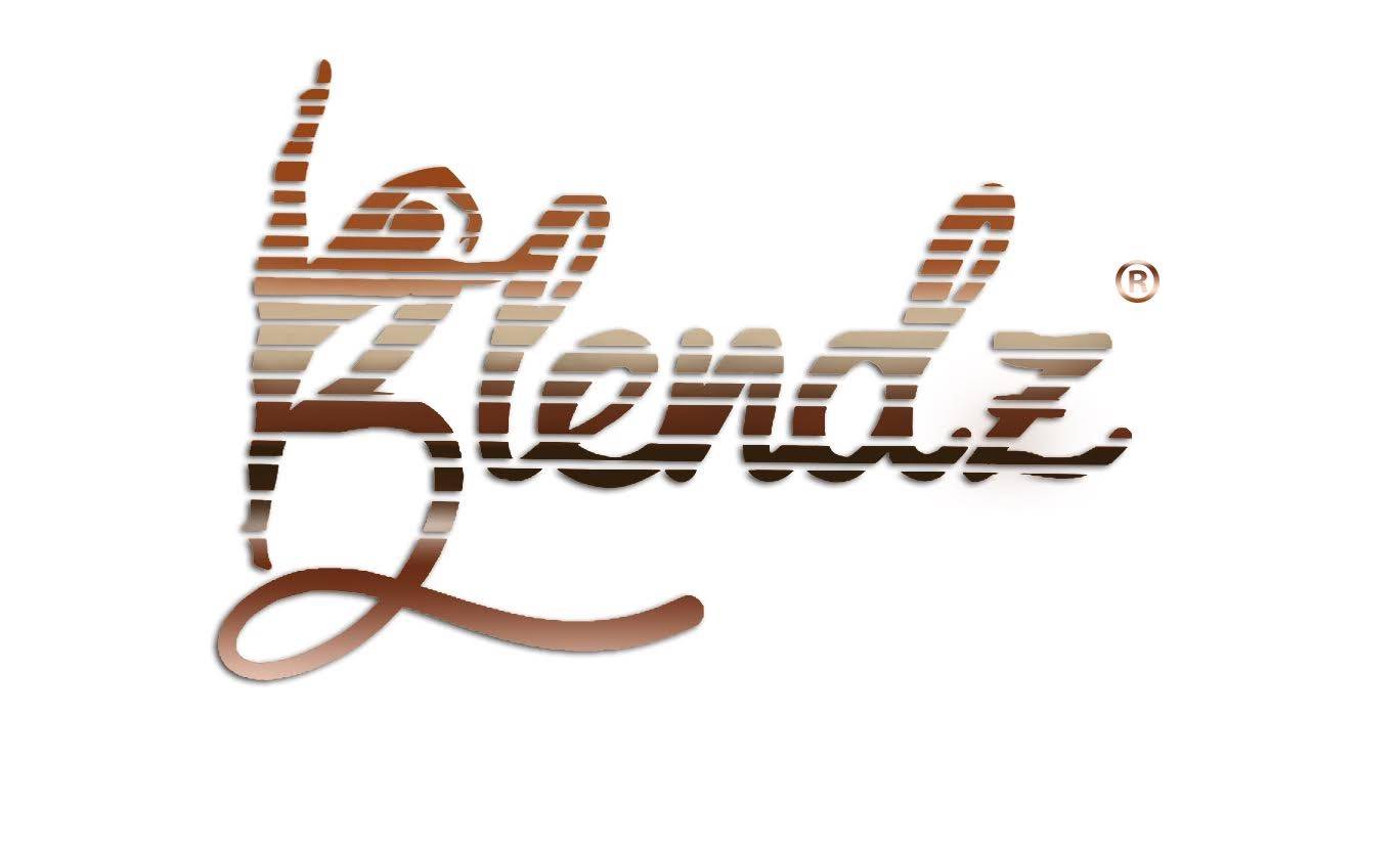 Blendz logo